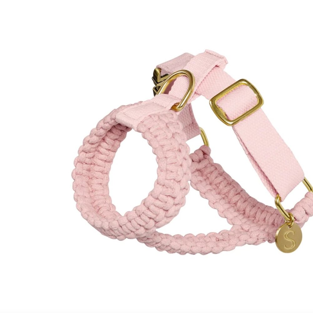 Pale Pink Macrame Small Dog Harness by Sebastian Says